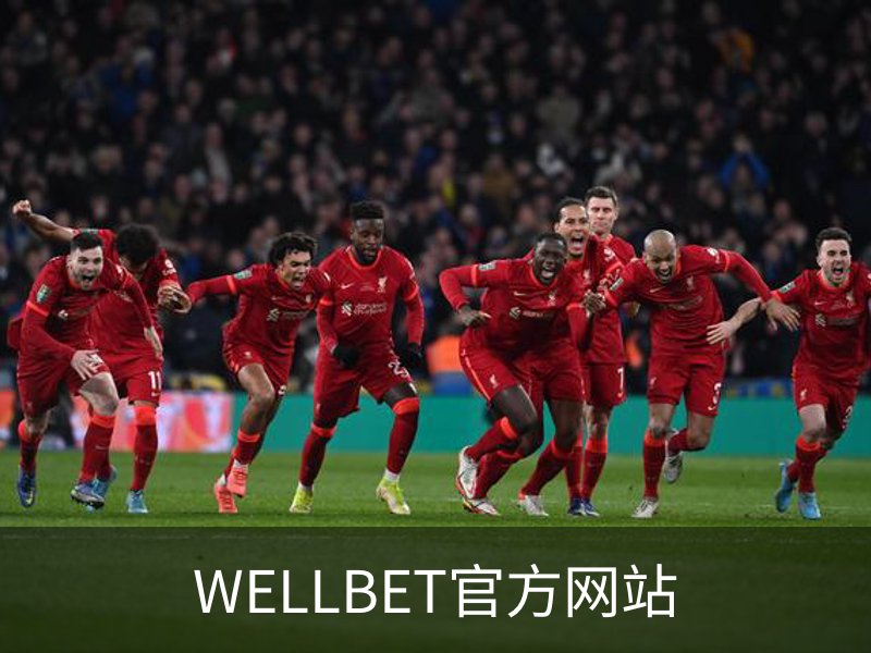 关于WELLBET官方网站